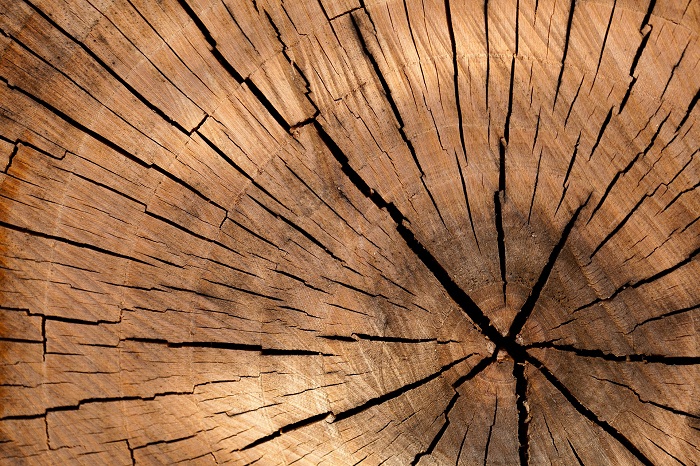 S impregnáciou dreva sa zvýši jeho unikátnosť